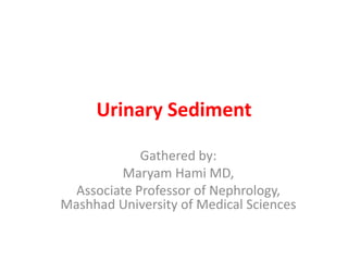 Urinary Sediment
Gathered by:
Maryam Hami MD,
Associate Professor of Nephrology,
Mashhad University of Medical Sciences
 