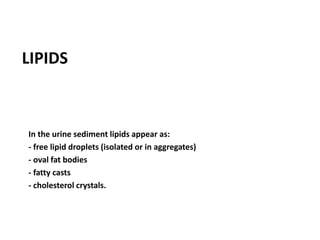 LIPIDS
In the urine sediment lipids appear as:
- free lipid droplets (isolated or in aggregates)
- oval fat bodies
- fatty casts
- cholesterol crystals.