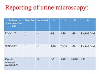 Reporting of urine microscopy:
Sediment –
Concentration
1:10
Negative occasional 1+ 2+ 3+ 4+
RBCs/HPF 0 <4 4-8 8-30 >30 Pa...