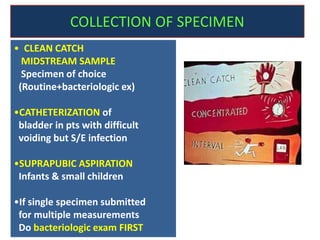 examination of urine (unani) | PPTX