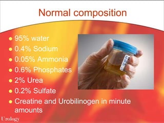 Normal composition
 95% water
 0.4% Sodium
 0.05% Ammonia
 0.6% Phosphates
 2% Urea
 0.2% Sulfate
 Creatine and Urobilinogen in minute
amounts
 