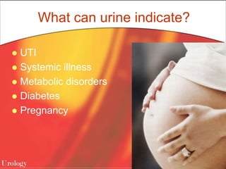 What can urine indicate?
 UTI
 Systemic illness
 Metabolic disorders
 Diabetes
 Pregnancy
 