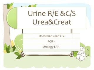 Urine R/E &C/S
Urea&Creat
Dr.farman ullah ktk
PGR 4
Urology LRH.
 