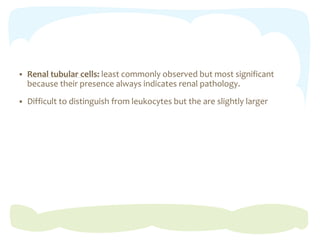  Renal tubular cells: least commonly observed but most significant
because their presence always indicates renal pathology.
 Difficult to distinguish from leukocytes but the are slightly larger
 