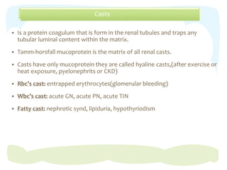 Casts
 Is a protein coagulum that is form in the renal tubules and traps any
tubular luminal content within the matrix.
 Tamm-horsfall mucoprotein is the matrix of all renal casts.
 Casts have only mucoprotein they are called hyaline casts,(after exercise or
heat exposure, pyelonephrits or CKD)
 Rbc’s cast: entrapped erythrocytes(glomerular bleeding)
 Wbc’s cast: acute GN, acute PN, acute TIN
 Fatty cast: nephrotic synd, lipiduria, hypothyriodism
 