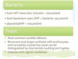 Bacteria
 Each HPF views b/w 1/20,000 – 1/50,000ml
 Each bacterium seen /HPF = bacteria >30,000/ml
 5bacteria/HPF = 100,000/ml
Yeast
• Most common candida albicans
• Biconcave oval shape confused with erythrocytes
and Ca-oxalate crystals but yeast can be
distinguished by charcteristic budding and hyphea
• Diabetes and vaginal candidiasis
 