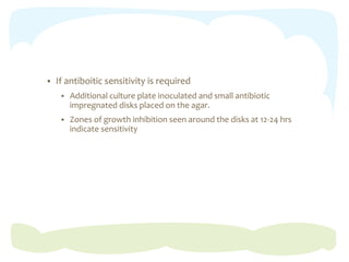  If antiboitic sensitivity is required
 Additional culture plate inoculated and small antibiotic
impregnated disks placed on the agar.
 Zones of growth inhibition seen around the disks at 12-24 hrs
indicate sensitivity
 