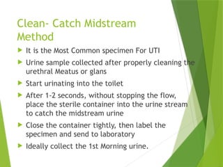 Comprehensive Guide to Urine Sample Collection and Transport Procedures ...
