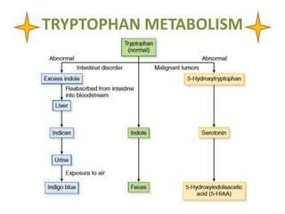TRYPTOPHAN METABOLISM
 