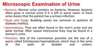 URINE & STOOL EXAMINATION.pptx