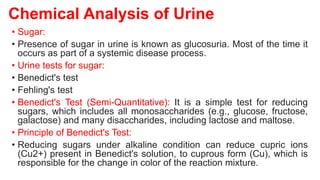 URINE & STOOL EXAMINATION.pptx