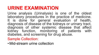 URINE & STOOL EXAMINATION.pptx