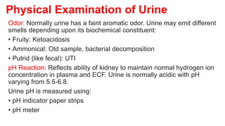 URINE & STOOL EXAMINATION.pptx