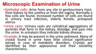 URINE & STOOL EXAMINATION.pptx