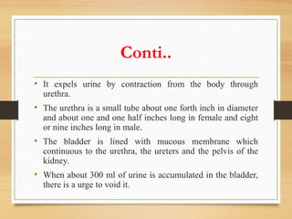 urine test.pptx