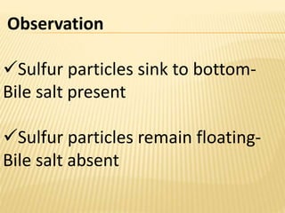 Observation
Sulfur particles sink to bottom-
Bile salt present
Sulfur particles remain floating-
Bile salt absent
 