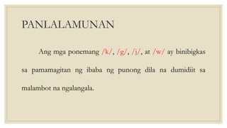 PANLALAMUNAN
Ang mga ponemang /k/, /g/, /j/, at /w/ ay binibigkas
sa pamamagitan ng ibaba ng punong dila na dumidiit sa
malambot na ngalangala.
 