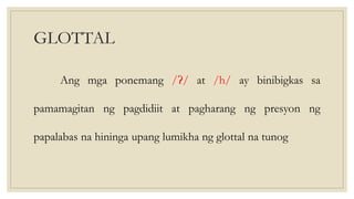 GLOTTAL
Ang mga ponemang /ʔ/ at /h/ ay binibigkas sa
pamamagitan ng pagdidiit at pagharang ng presyon ng
papalabas na hininga upang lumikha ng glottal na tunog
 