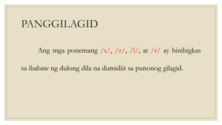 PANGGILAGID
Ang mga ponemang /s/, /z/, /l/, at /r/ ay binibigkas
sa ibabaw ng dulong dila na dumidiit sa punonog gilagid.
 