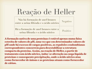 Reação de Heller
A formação nativa de uma proteínas é estável apenas numa faixa
estreita de valores de pH, uma vez que em determinados valores de
pH onde há excesso de cargas positivas, as repulsões coulombianas
correspondentes concorrem para desestabilizar a estrutura
compacta da proteína. Assim, na reação de Heller, a partir de
tratamento com ácido nítrico, induz-se alteração na carga líquida de
proteínas e consequente precipitação, onde o ácido nítrico atua
como fornecedor de ânions e as proteínas atuam como fornecedor
de cátion.
Não há formação de anel branco
entre a urina ﬁltrada e o ácido nítrico
Negativo
Há a formação de anel branco entre a
urina ﬁltrada e o ácido nítrico
Positivo
 