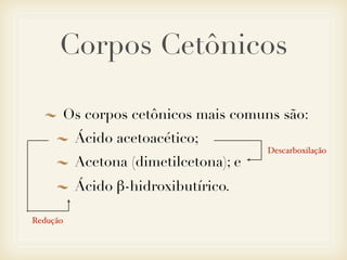 Os corpos cetônicos mais comuns são:
Ácido acetoacético;
Acetona (dimetilcetona); e
Ácido β-hidroxibutírico.
Corpos Cetônicos
Descarboxilação
Redução
 