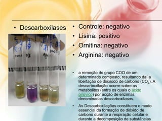 • Descarboxilases   • Controle: negativo
                    • Lisina: positivo
                    • Ornitina: negativo
                    • Arginina: negativo

                    •   a remoção do grupo COO de um
                        determinado composto, resultando daí a
                        libertação de dióxiodo de carbono (CO2). A
                        descarboxilação ocorre sobre os
                        metabolitos (entre os quais o ácido
                        pirúvico) por acção de enzimas
                        denominadas descarboxilases.
                    •   As Descarboxilações constituem o modo
                        essencial da formação de dióxido de
                        carbono durante a respiração celular e
                        durante a decomposição de substâncias
 