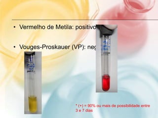 • Vermelho de Metila: positivo


• Vouges-Proskauer (VP): negativo




                      * (+) = 90% ou mais de possibilidade entre
                      3 e 7 dias
 