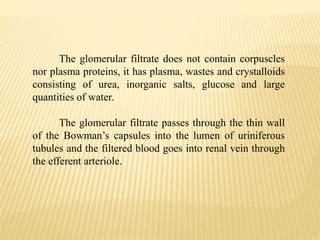 The glomerular filtrate does not contain corpuscles
nor plasma proteins, it has plasma, wastes and crystalloids
consisting of urea, inorganic salts, glucose and large
quantities of water.
The glomerular filtrate passes through the thin wall
of the Bowman’s capsules into the lumen of uriniferous
tubules and the filtered blood goes into renal vein through
the efferent arteriole.
 