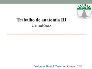 Trabalho de anatomia III
Urinotórax
Professor Daniel Castellon Grupo nº 10
 