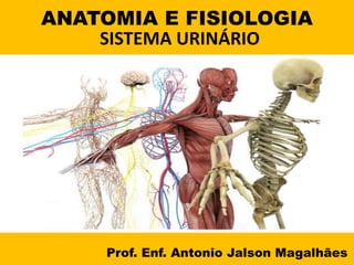 ANATOMIA E FISIOLOGIA
Prof. Enf. Antonio Jalson Magalhães
SISTEMA URINÁRIO
 