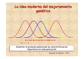 La idea moderna del mejoramiento
            genético




Aumentar el promedio poblacional de características de
Aumentar el promedio poblacional de características de
            importancia en cada generación
           importancia en cada generación
                                  Tomado de Barker, 1972
 