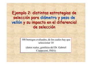 Ejemplo 2: distintas estrategias de
 selección para diámetro y peso de
vellón y su impacto en el diferencial
             de selección


      100 borregos evaluados, de los cuales hay que
     100 borregos evaluados, de los cuales hay que
                     seleccionar 10
                    seleccionar 10
         (datos reales, gentileza del Dr. Gabriel
        (datos reales, gentileza del Dr. Gabriel
                   Ciappesoni, INIA)
                   Ciappesoni, INIA)
 