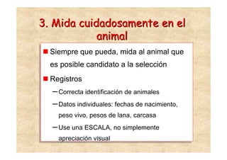 3. Mida cuidadosamente en el
            animal
 Siempre que pueda, mida al animal que
 Siempre que pueda, mida al animal que
 es posible candidato a la selección
 es posible candidato a la selección
 Registros
 Registros
  – Correcta identificación de animales
  – Correcta identificación de animales
  – Datos individuales: fechas de nacimiento,
  – Datos individuales: fechas de nacimiento,
    peso vivo, pesos de lana, carcasa
    peso vivo, pesos de lana, carcasa
  – Use una ESCALA, no simplemente
  – Use una ESCALA, no simplemente
    apreciación visual
    apreciación visual
 