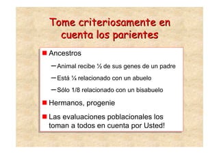 Tome criteriosamente en
  cuenta los parientes
Ancestros
Ancestros
– Animal recibe ½ de sus genes de un padre
– Animal recibe ½ de sus genes de un padre
– Está ¼ relacionado con un abuelo
– Está ¼ relacionado con un abuelo
– Sólo 1/8 relacionado con un bisabuelo
– Sólo 1/8 relacionado con un bisabuelo
Hermanos, progenie
Hermanos, progenie
 Las evaluaciones poblacionales los
Las evaluaciones poblacionales los
 toman a todos en cuenta por Usted!
toman a todos en cuenta por Usted!
 