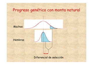 Progreso genético con monta natural



Machos




Hembras




          Diferencial de selección
 