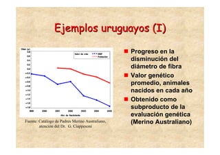 Ejemplos uruguayos (I)

                                                 Progreso en la
                                                 disminución del
                                                 diámetro de fibra
                                                 Valor genético
                                                 promedio, animales
                                                 nacidos en cada año
                                                 Obtenido como
                                                 subproducto de la
                                                 evaluación genética
Fuente: Catálogo de Padres Merino Australiano,   (Merino Australiano)
        atención del Dr. G. Ciappesoni
 
