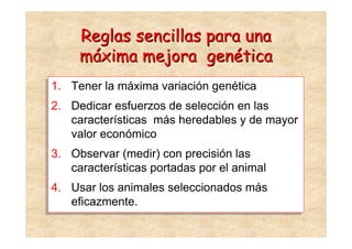 Reglas sencillas para una
      máxima mejora genética
1.
1.   Tener la máxima variación genética
     Tener la máxima variación genética
2.
2.   Dedicar esfuerzos de selección en las
     Dedicar esfuerzos de selección en las
     características más heredables y de mayor
     características más heredables y de mayor
     valor económico
     valor económico
3.
3.   Observar (medir) con precisión las
     Observar (medir) con precisión las
     características portadas por el animal
     características portadas por el animal
4.
4.   Usar los animales seleccionados más
     Usar los animales seleccionados más
     eficazmente.
     eficazmente.
 
