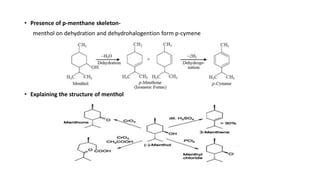 • Presence of p-menthane skeleton-
menthol on dehydration and dehydrohalogention form p-cymene
• Explaining the structure of menthol
 