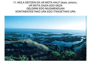 11.-NOLA DEITZEN DA UR MOTA HAU? (ibaia, aintzira..
           UR MOTA GAZIA EDO GEZA
          GELDIRIK EDO MUGIMENDUAN
  KONTINENTEETAKO URA EDO ITSAOETAKO URA
 