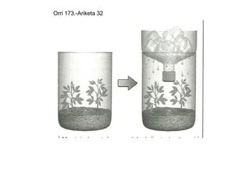 Orri 173.-Ariketa 32
 
