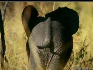 URL Amigáveis com Apache mod_rewrite