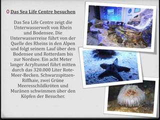 0 Das Sea Life Centre besuchen
Das Sea Life Centre zeigt die
Unterwasserwelt von Rhein
und Bodensee. Die
Unterwasserreise führt von der
Quelle des Rheins in den Alpen
und folgt seinem Lauf über den
Bodensee und Rotterdam bis
zur Nordsee. Ein acht Meter
langer Acryltunnel führt mitten
durch das 320.000 Liter Rote-
Meer-Becken. Schwarzspitzen-
Riffhaie, zwei Grüne
Meeresschildkröten und
Muränen schwimmen über den
Köpfen der Besucher.
 