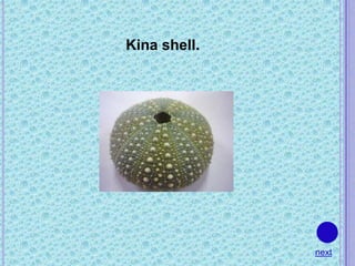 Kina shell.




              next
 