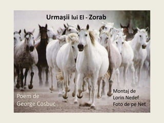 Urmașii lui El - Zorab
Poem de
George Cosbuc
Montaj de
Lorin Nedef
Foto de pe Net
 