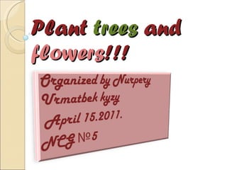 Plant  trees  and  flowers !!! 