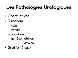 Les Pathologies Urologiques
• Obstructives
• Tumorale
– rein
– vessie
– prostate
– gynéco: utérus
ovaire
• Greffe rénale
 