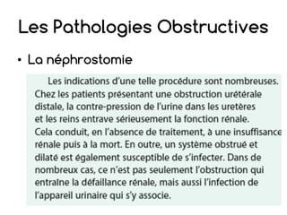 Les Pathologies Obstructives
• La néphrostomie
 