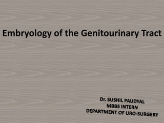 Embryology of the Genitourinary Tract
 