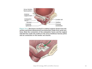 Dept Of Urology, KMC and GRH, Chennai 16
 