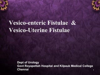Vesico-enteric Fistulae &
Vesico-Uterine Fistulae
Dept of Urology
Govt Royapettah Hospital and Kilpauk Medical College
Chennai 1
 